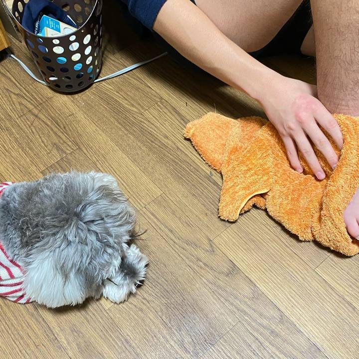 E51b2cf8 0949 4fef 91dc 47a0321d1677 1611588469678