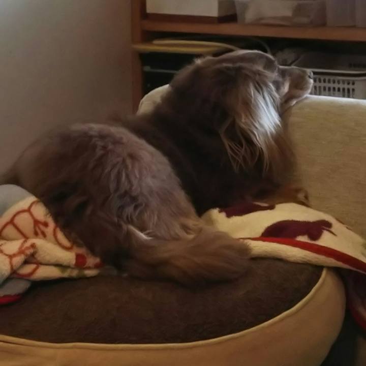 E51b6c19 8614 4ac5 8ee0 272e03638077 1530321656155