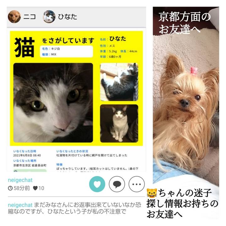 E51baba6 da98 4a29 a0ec 7d47b4882b17 1623247781056