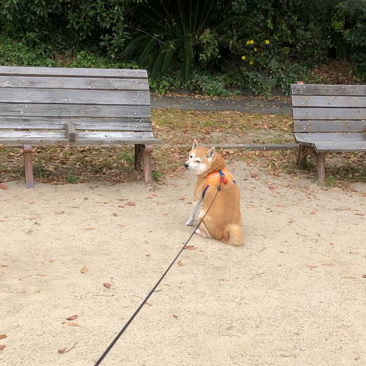 E51bd582 f256 4c91 8882 d1cd6cd2f0fd 1605266626911