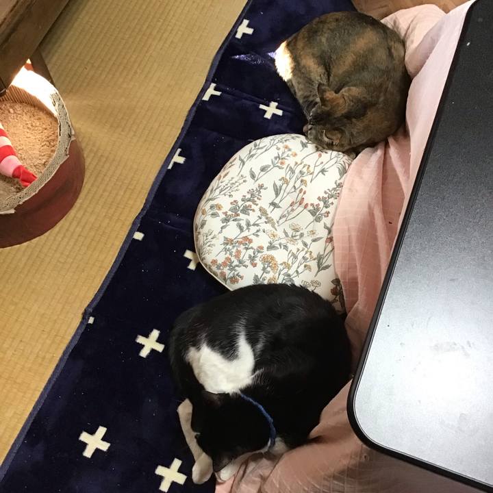 E51be45b 6b25 4391 8afc ecc6c3ac75a7 1704617000134