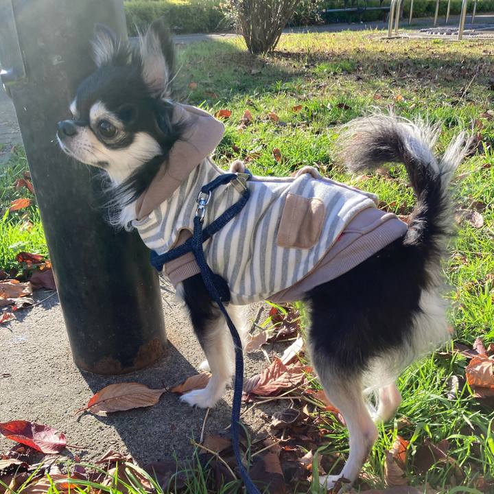 E51be5f5 3656 4b75 8df4 a3d61d836122 1669556821166