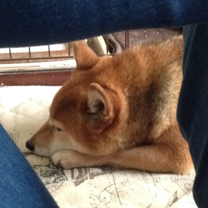 E51c06f9 4c2d 4ac8 a5f3 6cdadecc5261 1527146775504