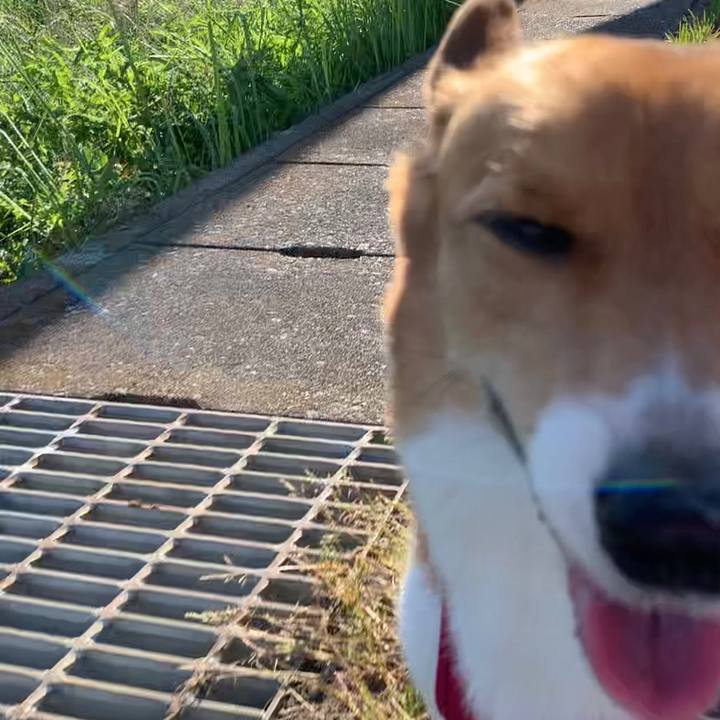 E51c1d92 2dcd 403e 915e 7d08c50c4450 1653293818486