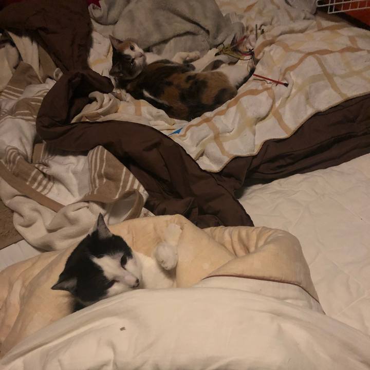 E51c1e3a f4e9 4f1b 8728 4e0501a2981e 1581336254175