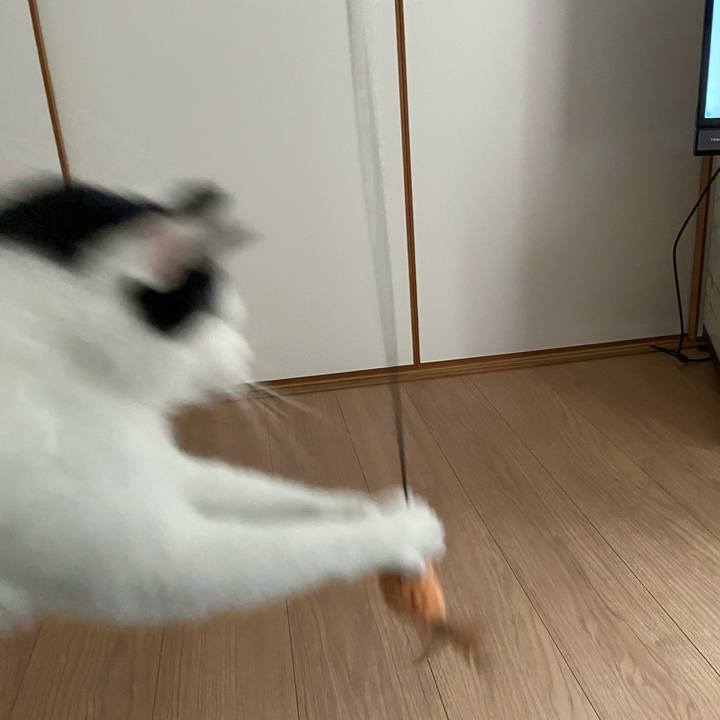 E51c8c4f 50f3 4426 8c9c 746964bba937 1583042797401