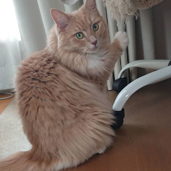 E51ca1c0 ca87 4e70 be34 0a10c7fa90dd 1569376352026