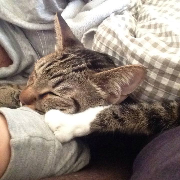 E51cd665 84d7 44c5 bdd7 0c8292ad5131 1514059335630