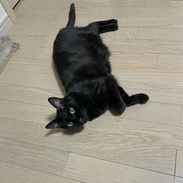 E51cf6bd a520 46c7 b97a c8aac088a3fd 1753698012164