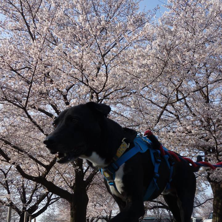 E51d0868 4eb8 4ae5 948b 80166d2c8ffc 1616807949527