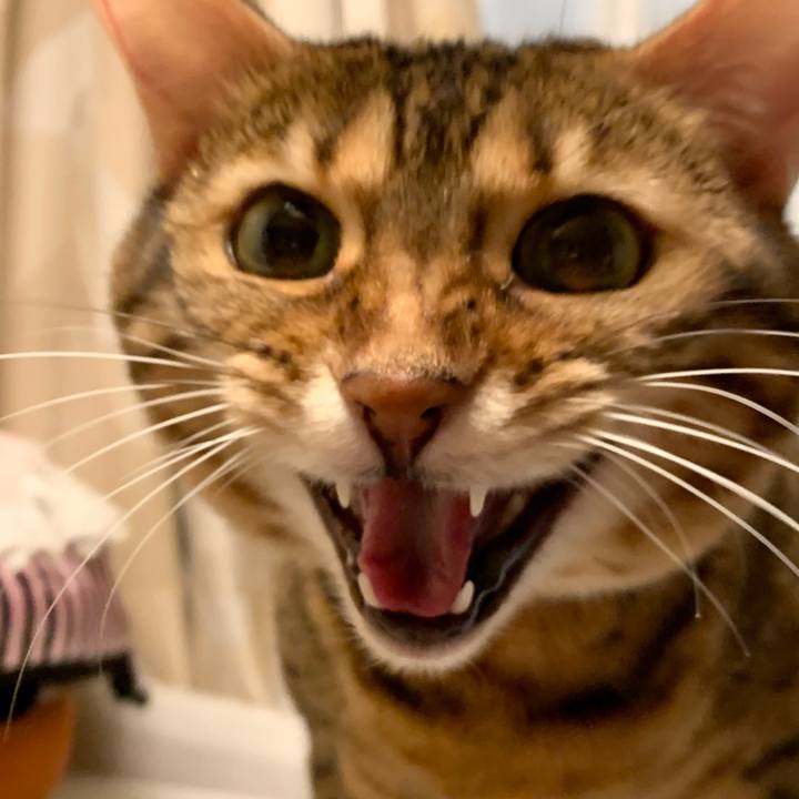 E51d92d9 0d24 4c8a 9635 896c1f9425df 1615601821531