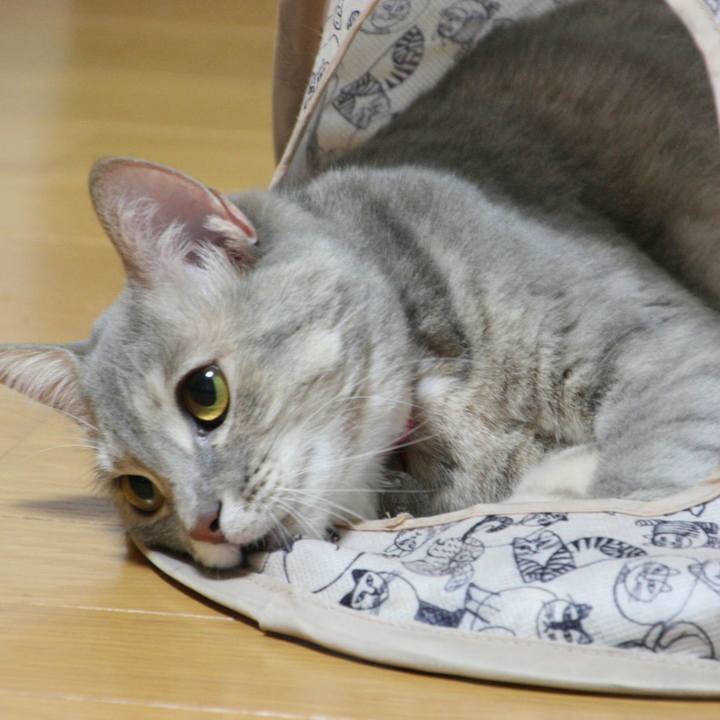 E51defef f4bc 4846 af58 2027ed8d382d 1513866417421