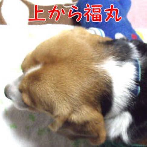 E51e585f 262c 4a42 8240 799e5db104e4 1711584882383