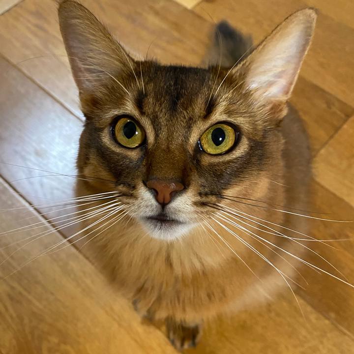 E51e6def 8997 47b1 a566 9ceb21fe7522 1633823364545