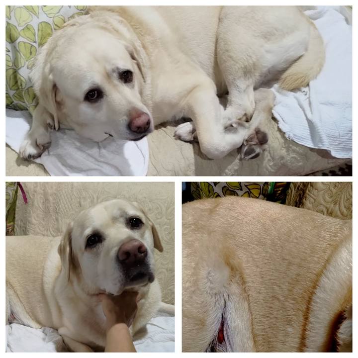 E51ea182 d7fe 4067 877e 3986da6ac7b1 1697875491418