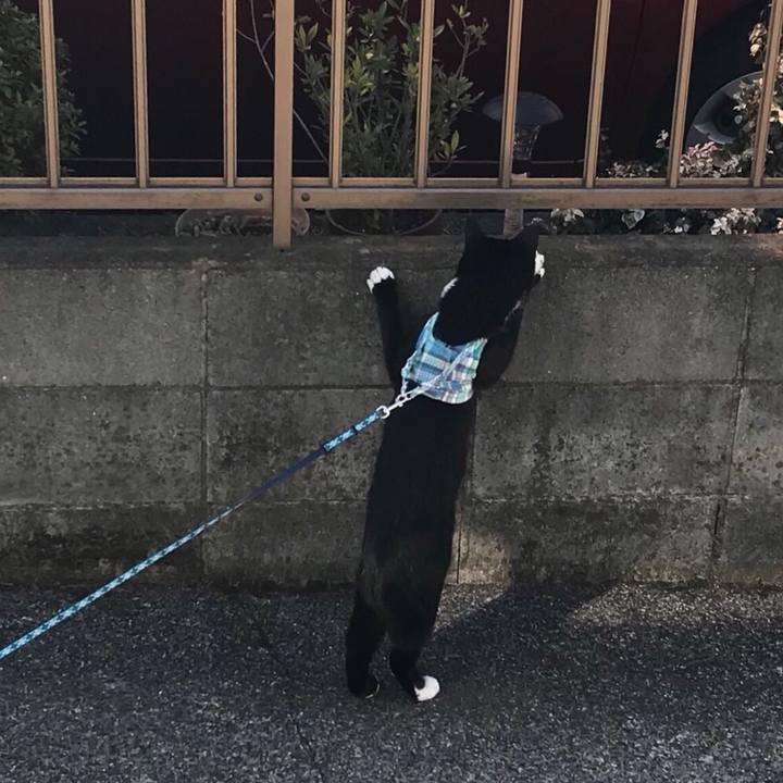 E51ea935 8d2b 4acb 9737 34b4696efc3d 1514260243681