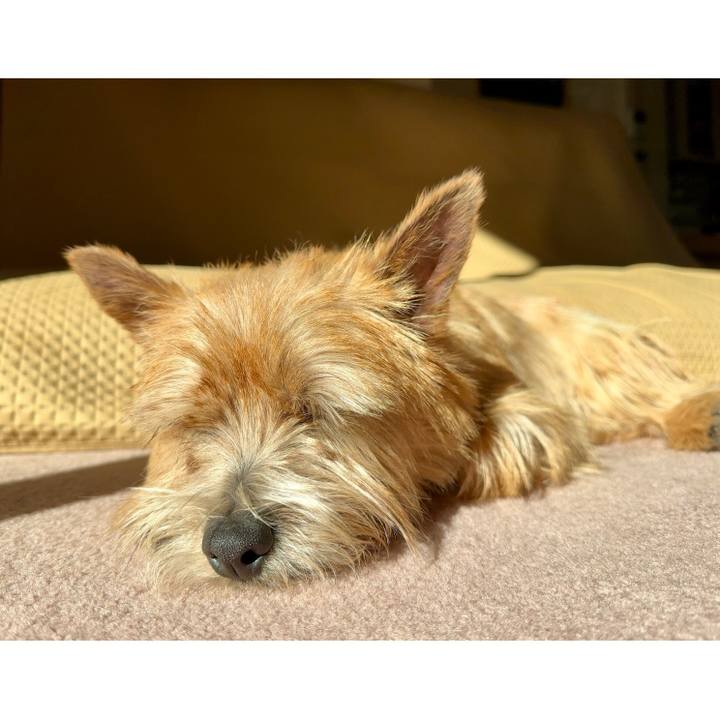 E51ea9b8 6dda 4d02 9a18 f1c8facd2d62 1737887599482