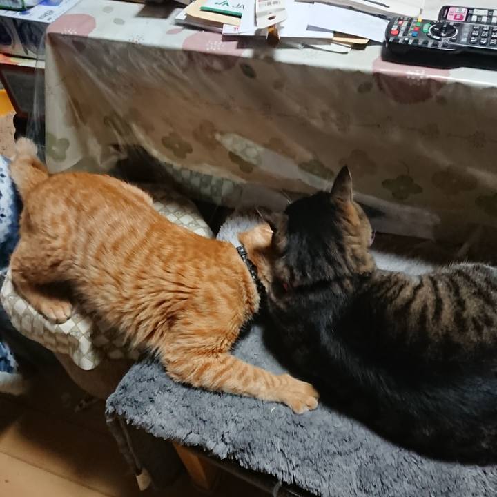 E51edeb5 fae3 4ab4 a72a d572df001b57 1644663173677