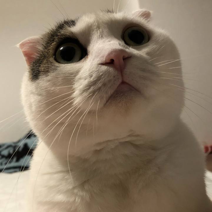 E51ee617 1ec4 4d41 8197 95d68b86d96e 1599604010649