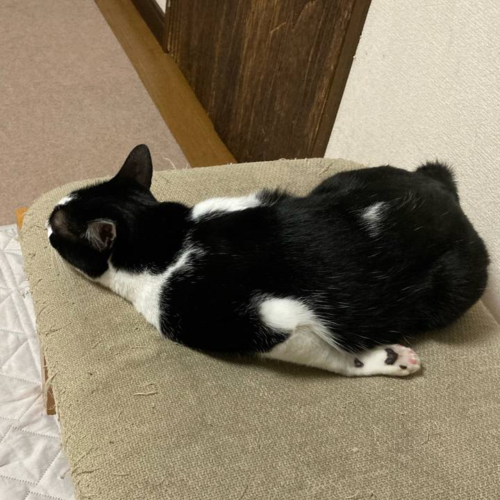 E51ef8cf ecdb 4c12 9c0a ef4429d4bb6e 1640173502904