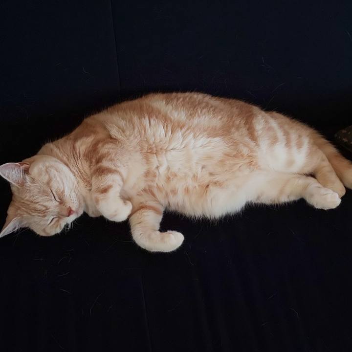 E51f2825 9654 4585 ab46 f17718a4f1db 1536984776333