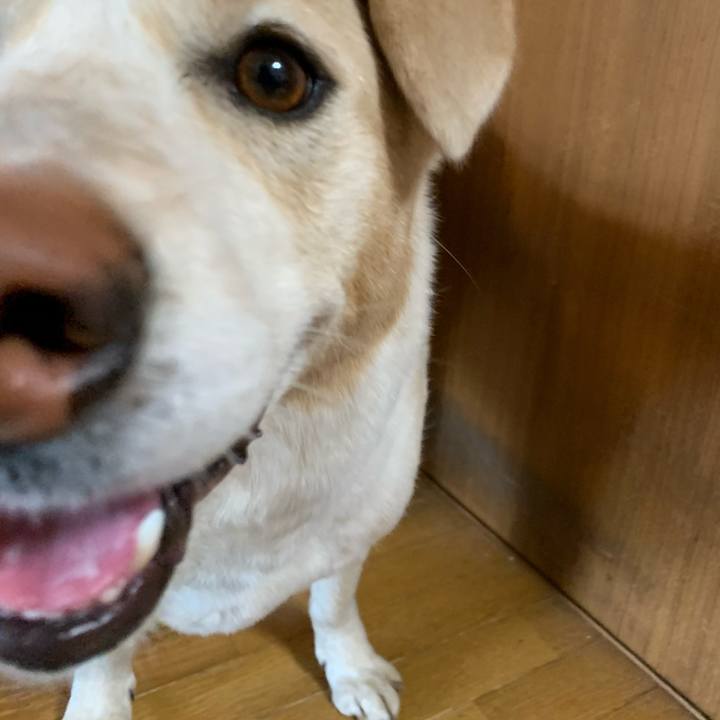 E51f348b 08a9 4ef8 97f6 f06e0bc0f1dc 1586481621820