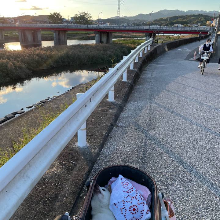 E51f54f9 bb24 495d 9798 c45f6e18b9a4 1666180663158