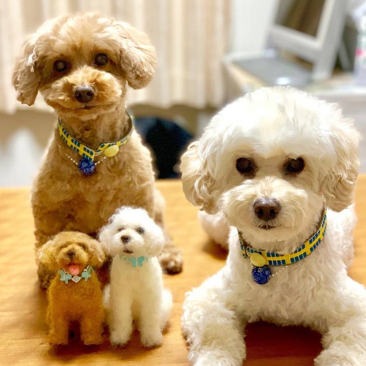 E51fa690 bced 4fc9 99c8 68ccf0d2bf24 1545912083476