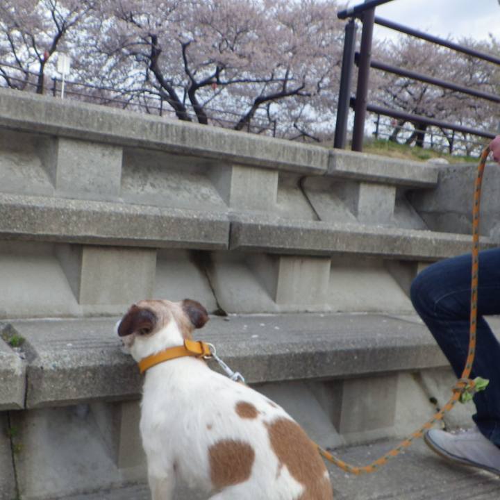 E51fd602 83c8 4a4f b9e4 13bb4891f59e 1555509653840