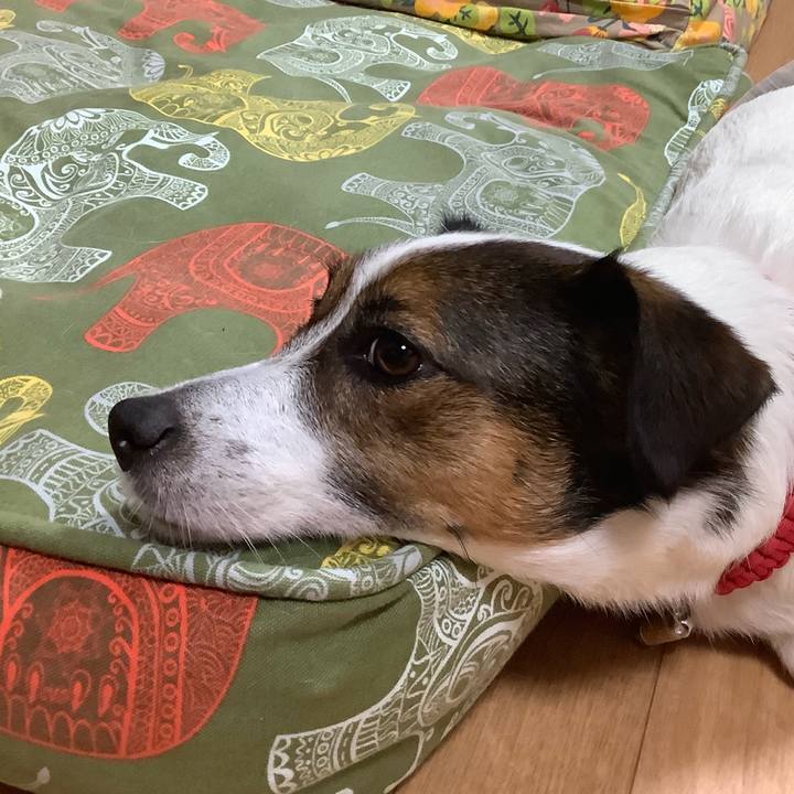 E51ff647 f66c 4867 88fe be019762528e 1564731256152