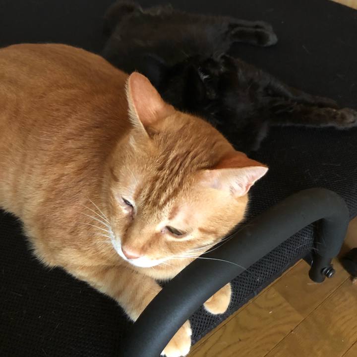 E52023f9 1864 4f97 8d0d 60276bd75f1f 1627372892697