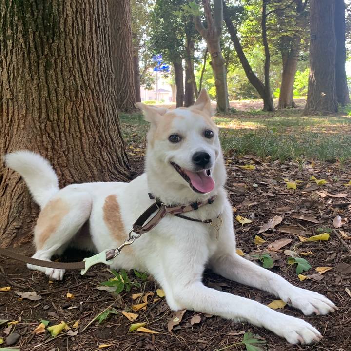 E52031ab a6b9 4805 afe0 0e2fbc3c5c16 1691893323718