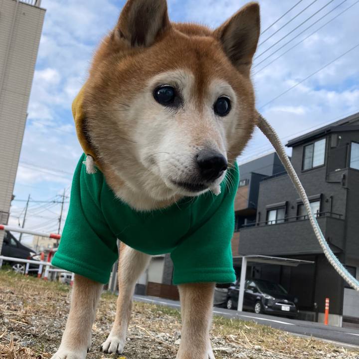 E5205740 44ec 4a0e 8056 fb3e40c63534 1737421685318