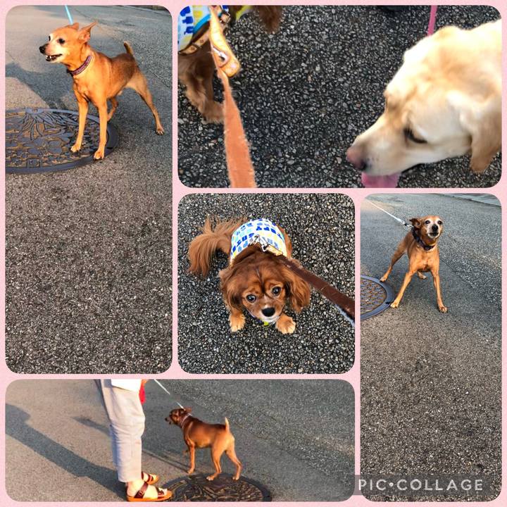 E520d77c 7829 4721 9192 91f7c3a41d74 1627688715166