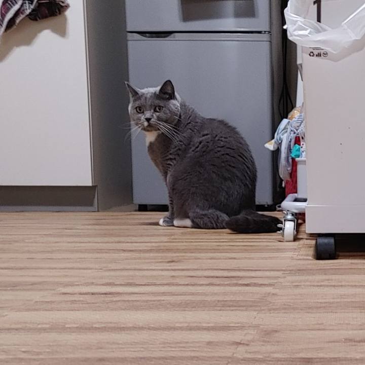 E520ee87 eeab 49ff bbd3 841aad73a9ec 1666952178142