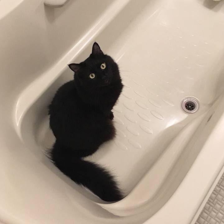 E521300e a4a9 4397 9bbd 79cd8b3c41a0 1539095299514