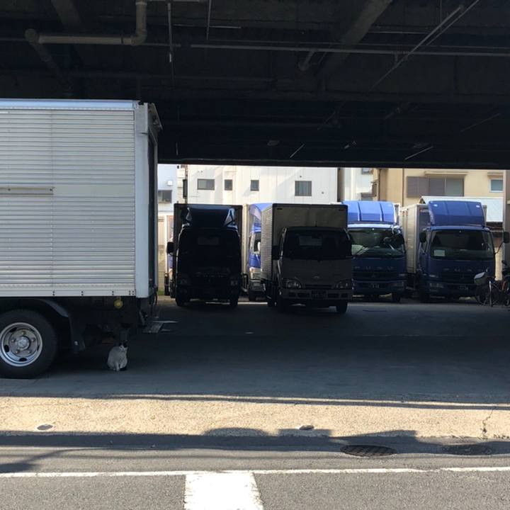 E5217350 20b2 4c45 9491 7b5494986ba4 1558189817787