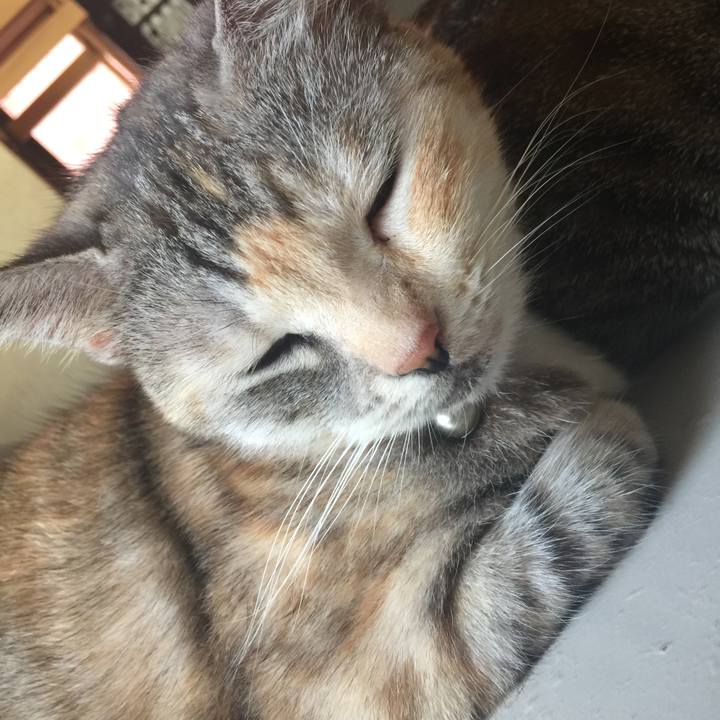 E521be38 5e16 4f13 bfb7 40dafee9422d 1570173505972