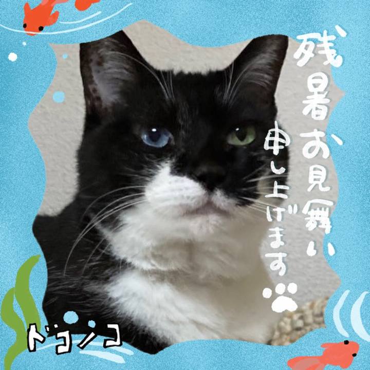 E521daf2 d080 4ea8 bfd7 3b9e3b58fdb7 1723560642660