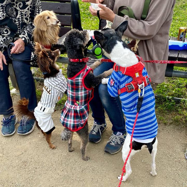 E521fa35 1c9b 416a 827b c0483be98038 1620117840593