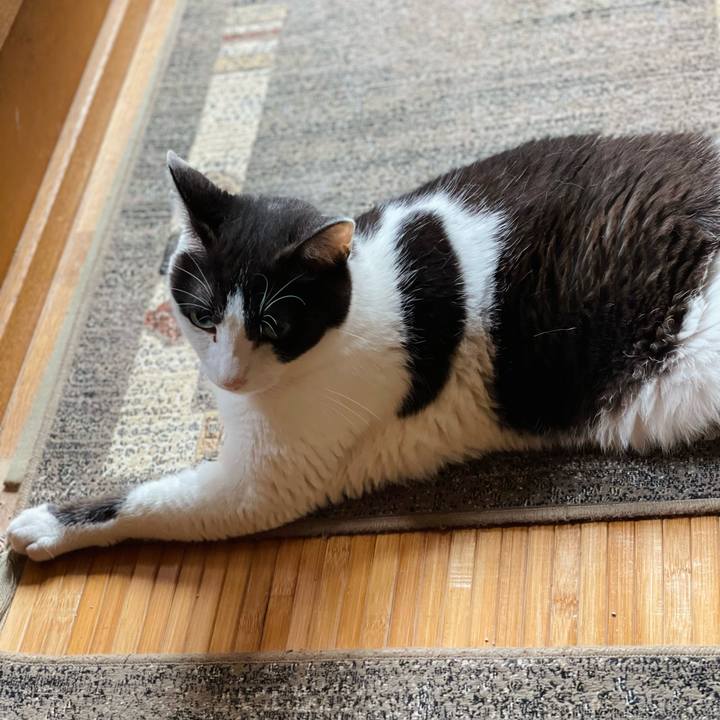 E5220e06 45c4 450c b335 b025dd414ef7 1660693195962