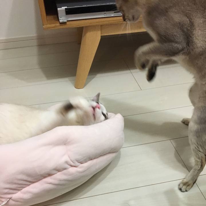 E5226b1d a138 4fb2 be81 c180ad180e5a 1515333372015