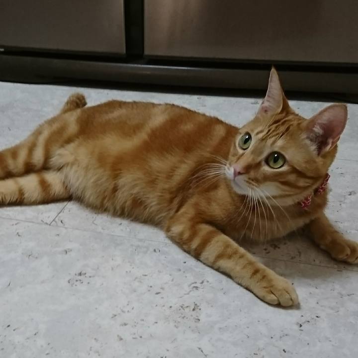 E5229f38 b311 48c9 8562 b67513ff4fb9 1515503588610