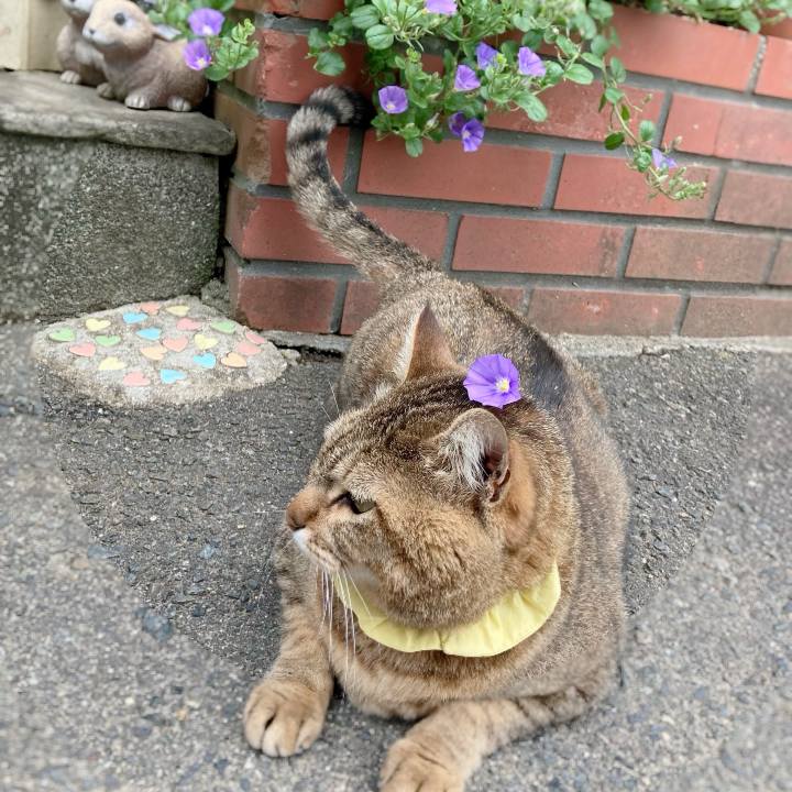 E522a633 4dd5 441d a6ee d83be3951ef2 1652662897761