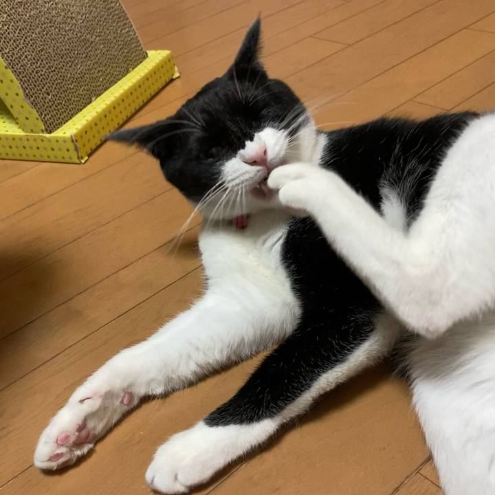 E522b79c 8cc4 4ff8 b6ac d775c8b03d46 1611756799064