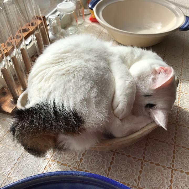 E522c34a b693 458d aed0 b14043e5dcd4 1603588765968