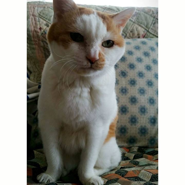 E522d05d 4cff 4c14 9085 076933e40f95 1519273555461