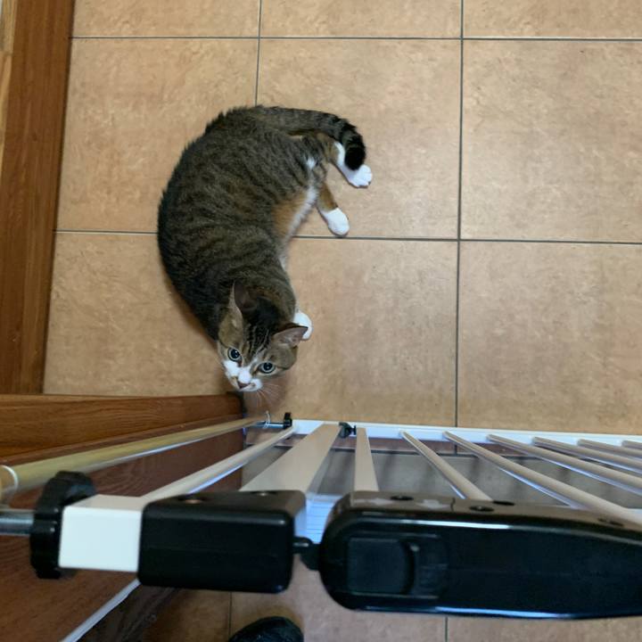 E522ff3f 82b2 4df1 a836 fb387439f9a2 1658916160986