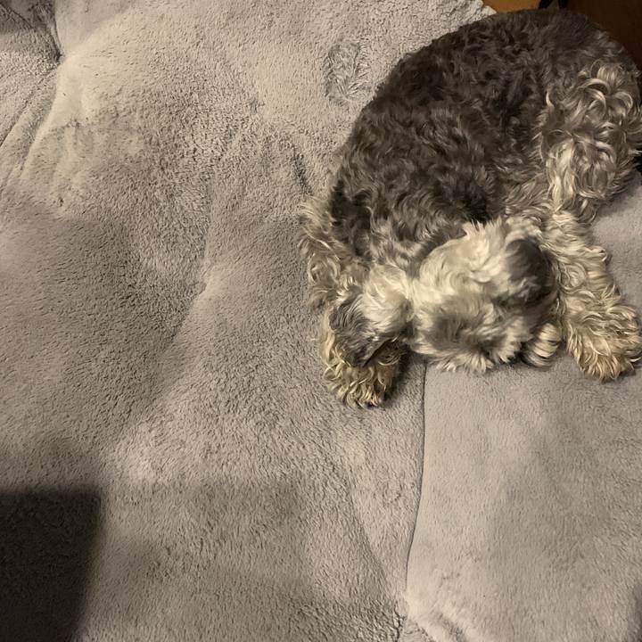 E5235f57 d2a9 449a 9dcf daf8963745d0 1681297973218