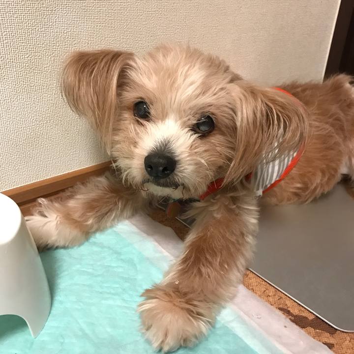 E523f2e0 a054 4f8f a12f da79289febac 1528907879460